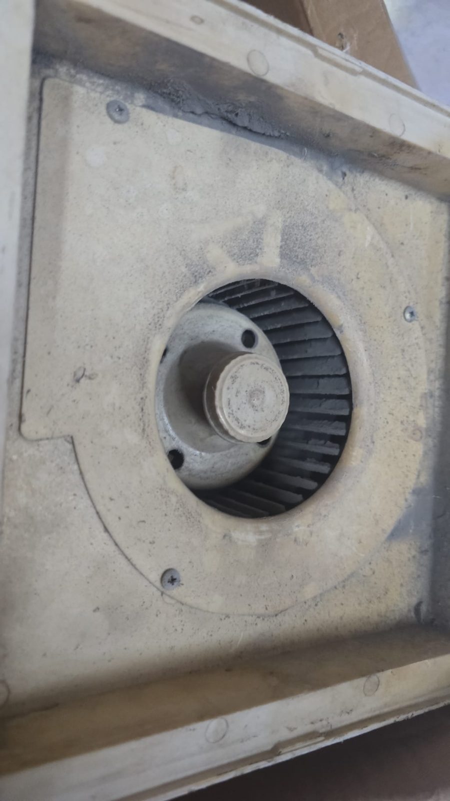 Rodete del extractor visto por la boca de aspiración, con los álabes cubiertos de ceniza
